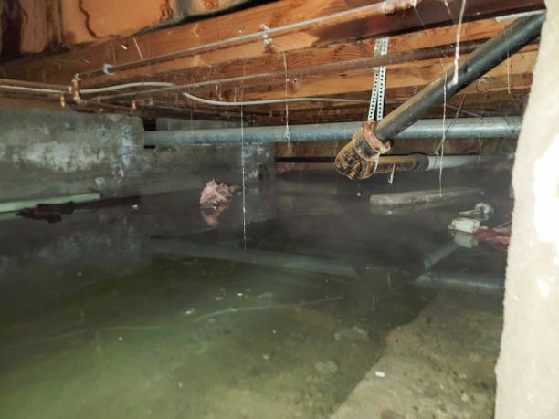 Best Ceiling water damage repair  in Mcconnellstown, PA