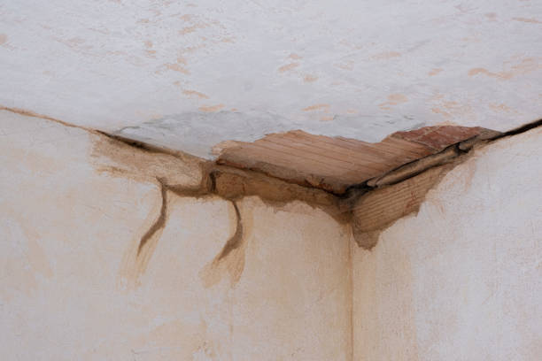 Trusted Mcconnellstown, PA Water damage restoration Experts