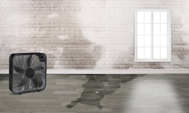 Best Commercial water damage restoration  in Mcconnellstown, PA